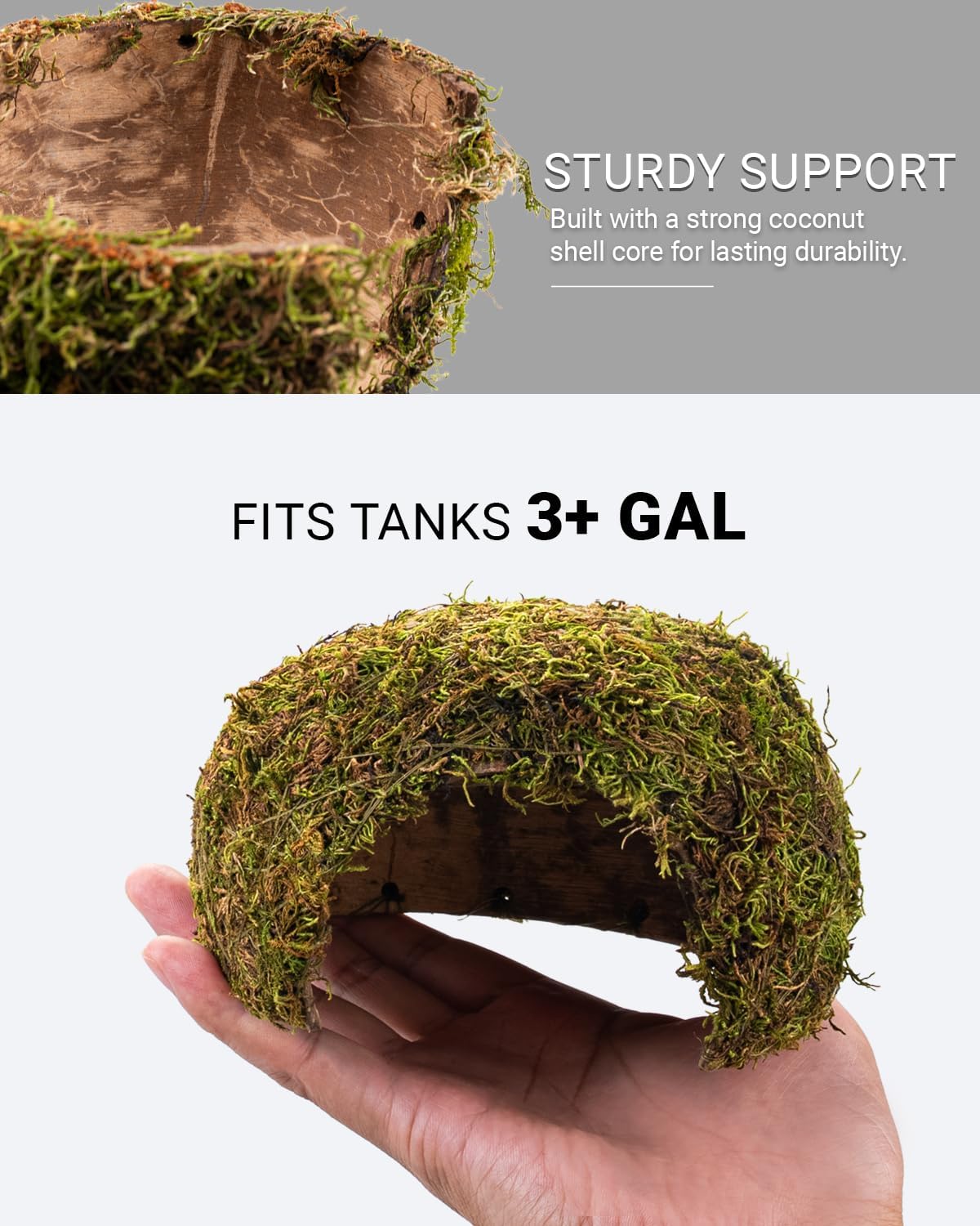 Reptile Hides and Caves – Leopard Gecko Tank Accessories, Natural Dome Reptile Cave & Shelter, Gecko Tank Accessories