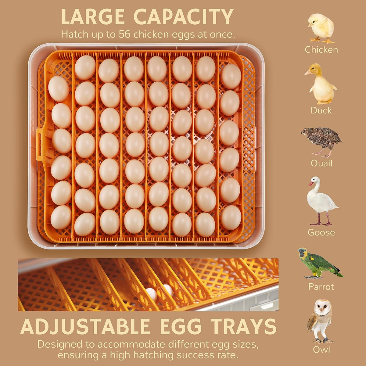 Nestasy ProHatch56 Egg Incubator with Automatic Egg Turning and Humidity Temperature Control, 56 Eggs Capacity for