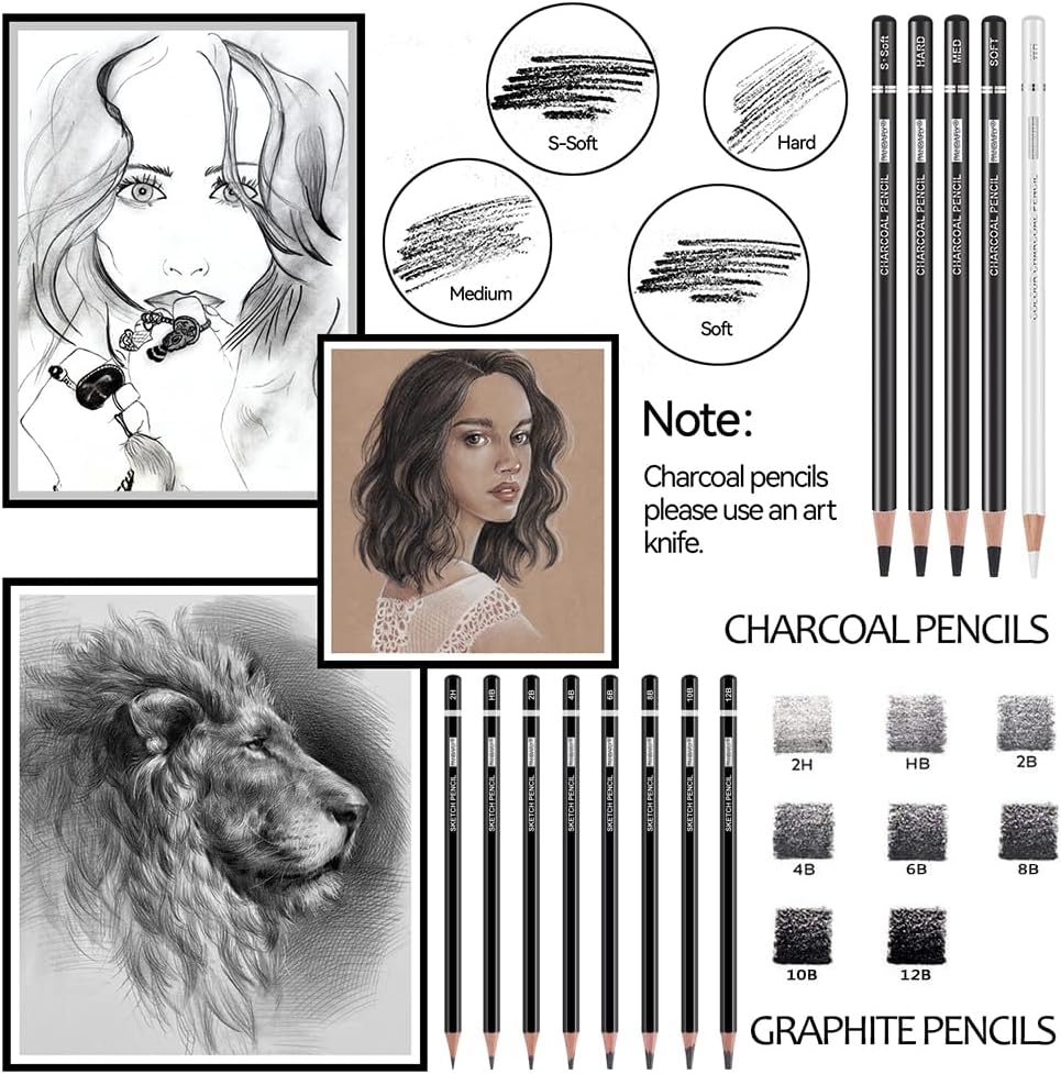 Drawing Sketching Pencil Set, 22 Piece Pro Art Pencil Kit - Graphite Pencils (12B-2H), Black and White Charcoal
