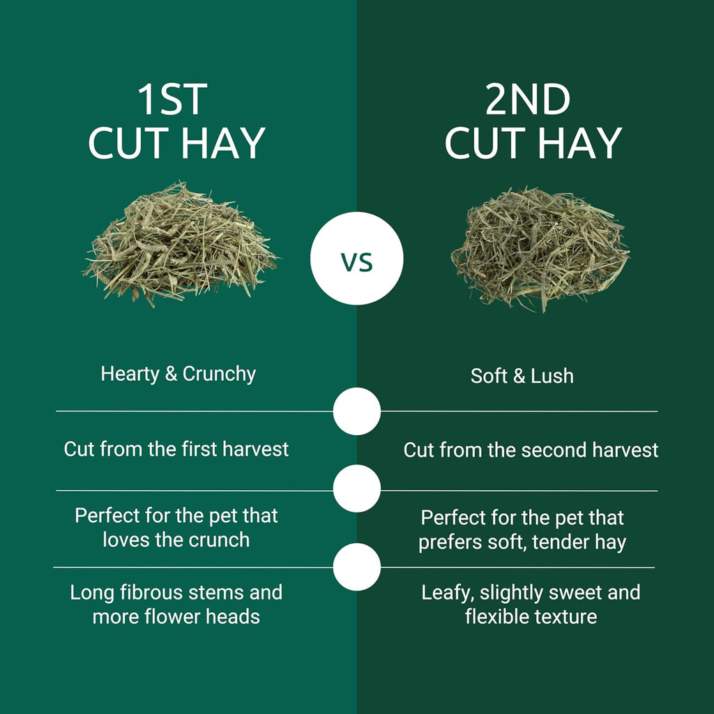 1st Cut Soft and Lush Timothy Hay for Guinea Pigs & Rabbits | Digestive support. Soft guinea pig food and rabbit hay.