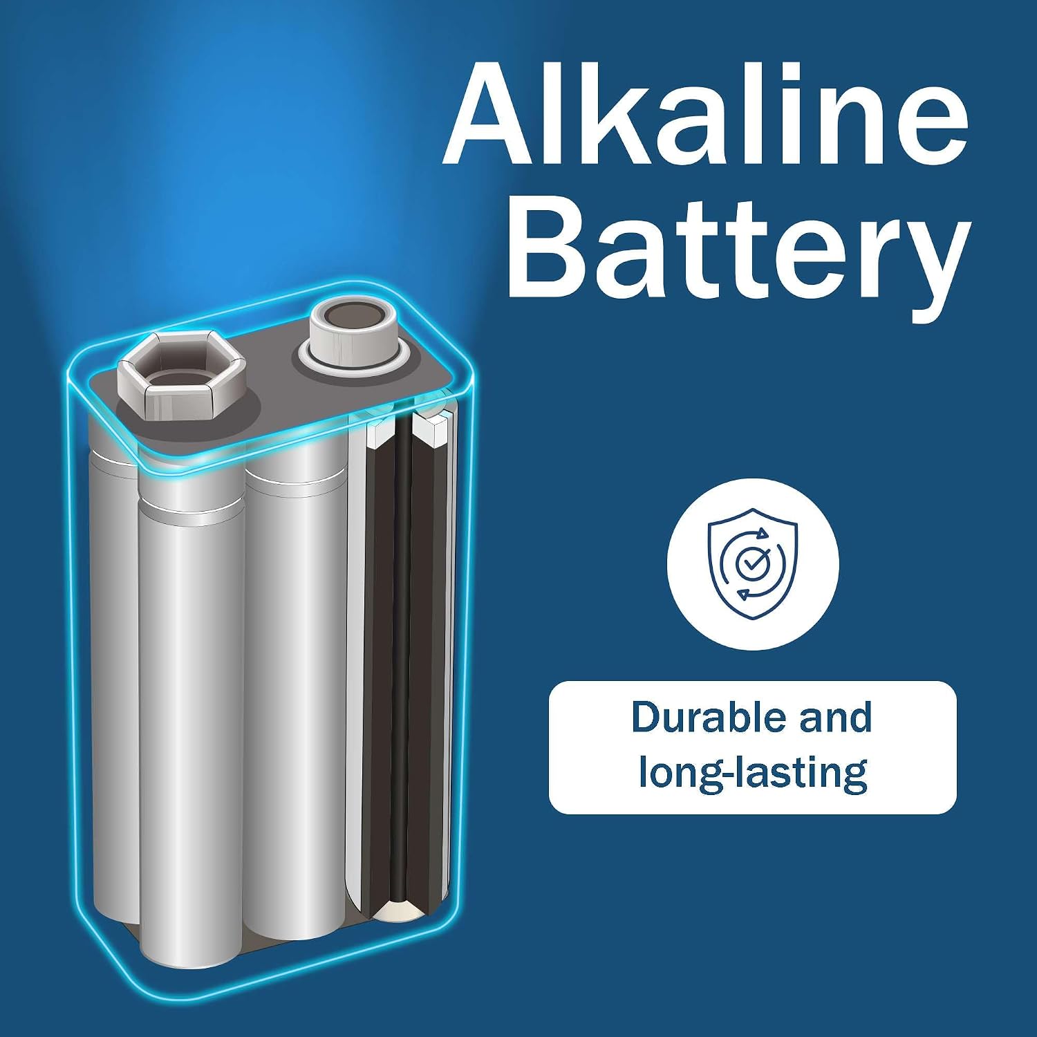 9 Volt Batteries 12 Pack - 9v Alkaline Batteries for Smoke Detectors, Carbon Monoxide Alarms, Security Systems