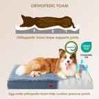 Orthopedic Dog Bed Large with Removable Washable Cover, 36x27