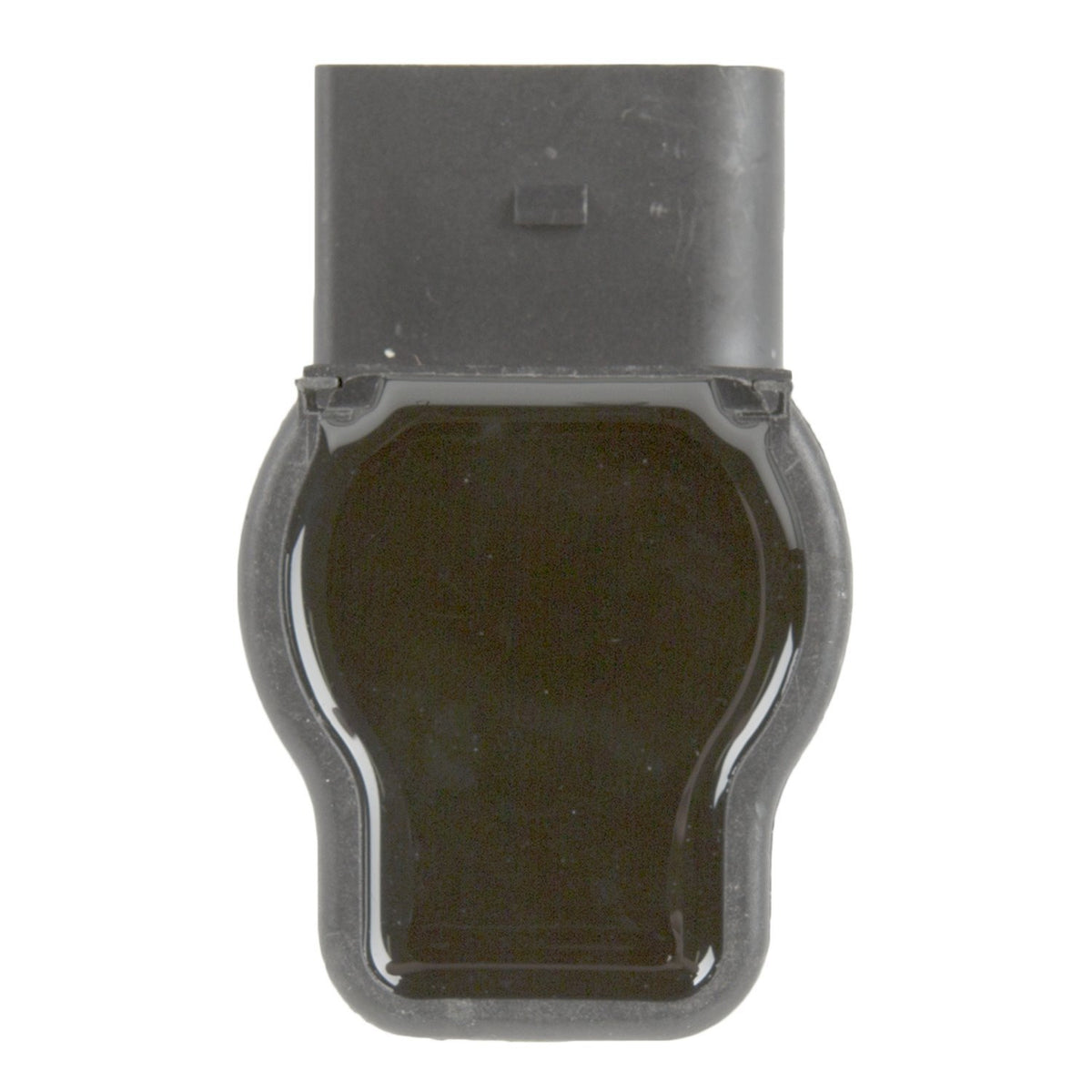 Delphi GN10322 Ignition Coil