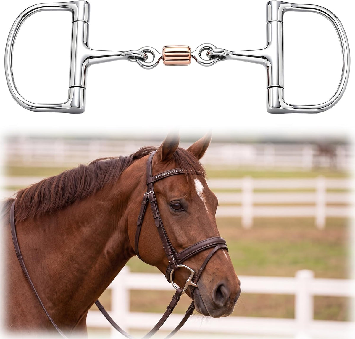 Horse Snaffle Bit Copper Roller D Ring Snaffle Bit
