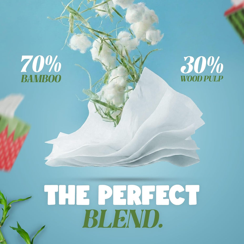Gaias Premium Bamboo Facial Tissues – 24 Fruit Boxes, 3-Ply, 80 Sheets per Box, Bamboo-Based, Zero Plastic Packaging