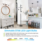 Vintage LED Edison Bulb Dimmable 60W Equivalent E26 Led Bulbs