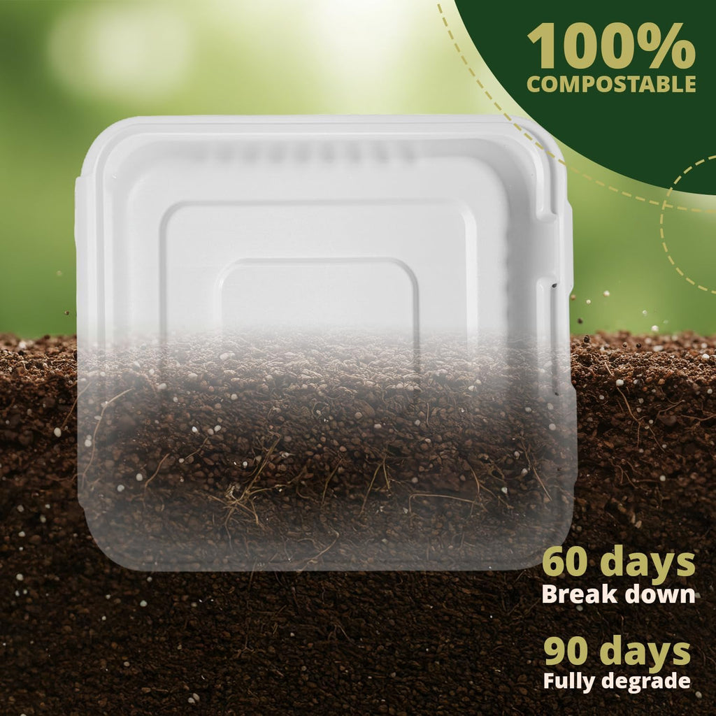 100% Compostable Clamshell Take Out Food Containers 8X8" 50-Pack Heavy-Duty Quality to go Containers, Natural