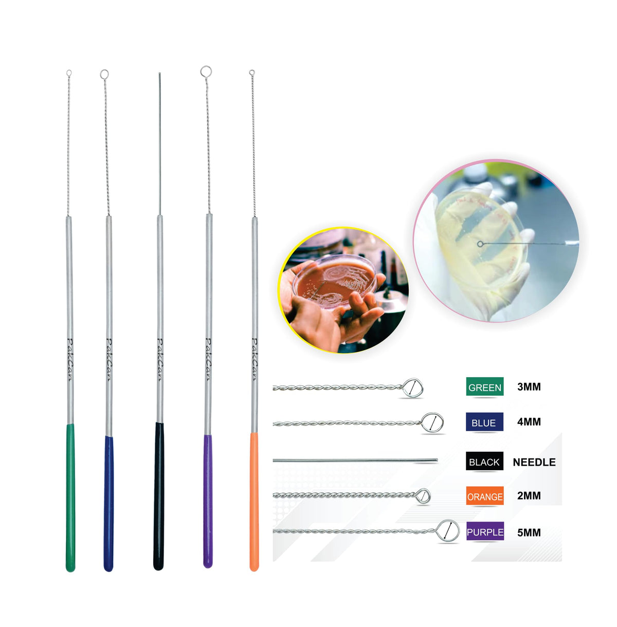 Reusable Inoculating Loops Set - Cell Streaking Tools Perfect for Bacteria Cell Tissue Culture (5 Pack)
