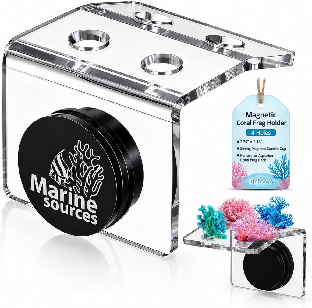 Magnetic Coral Frag Holder, 4 Holes Aquarium Coral Frag Rack