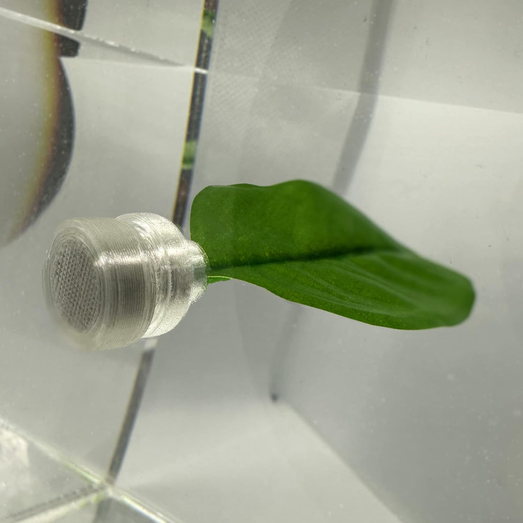 Magnetic Betta Leaf Hammock Bed for Aquariums and Fish Tanks (Single Betta Leaf)