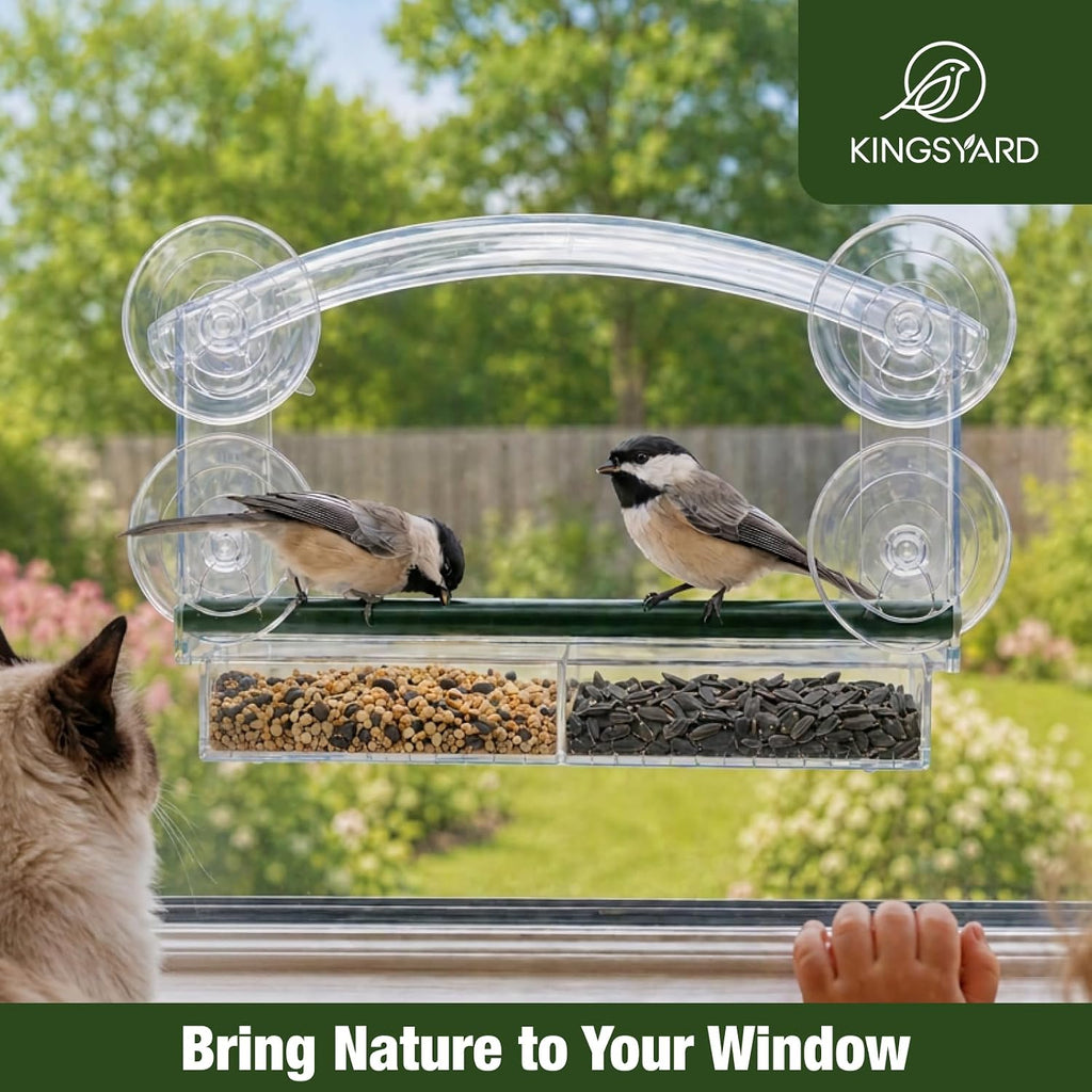 Window Bird Feeder with 4 Extra Strong Suction Cups