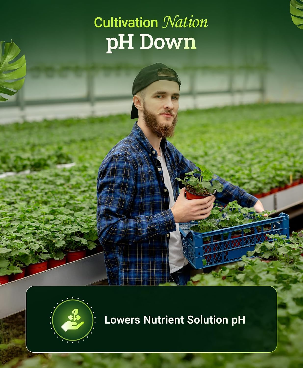 Cultivation Nation pH Down for Plants’ Nutrient Solutions - Formulated with Citric Acid for Adjustment - Ideal for