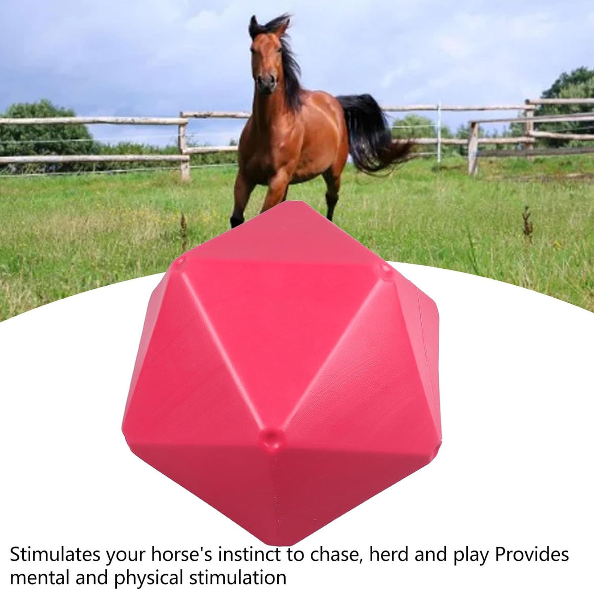 PPolygon Slow Feed Treat Ball for Horses