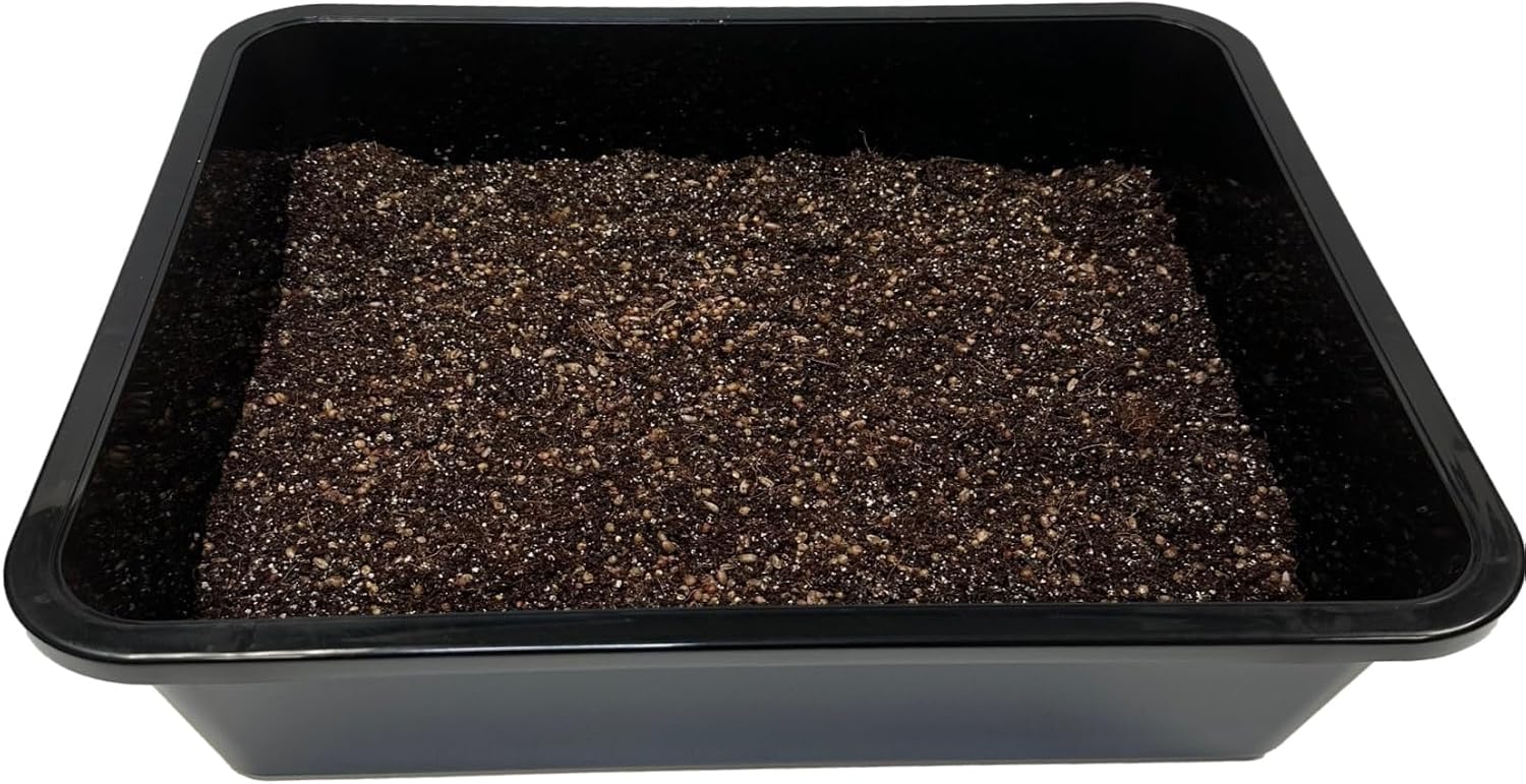 Premium Bulk Mushroom Substrate Mix | Fully Pastuerized | Maximum Yield | for Dung & Grain Loving Mushrooms (5 LBS)
