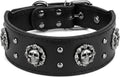Studded Leather Dog Collar, Spiked Studded Large Breed Dog Collar XL, Durable Wide Leather Collar for Pitbull, Cane