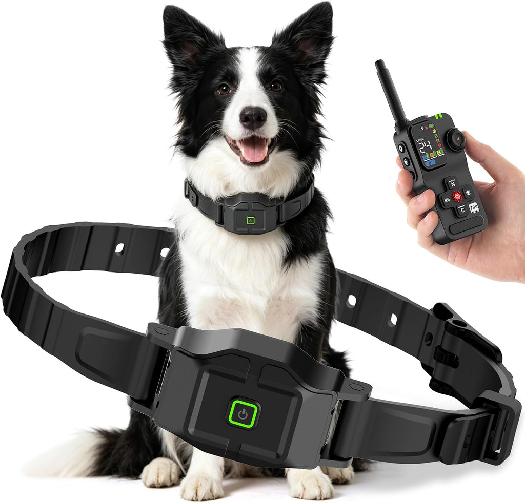 GPS Wireless Dog Fence for Dogs, 2-in-1 Training Collar, 25–999 Yards