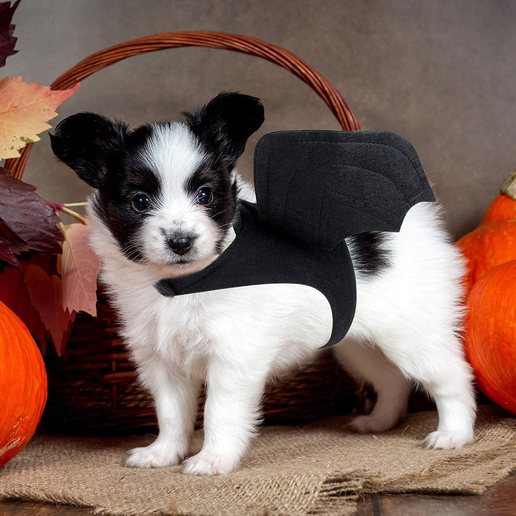 Dog Bat Wings Costume, Halloween Pet Costume for Dogs & Cats D-Ring M | D-Ring for Leash, Lightweight Felt Comfort