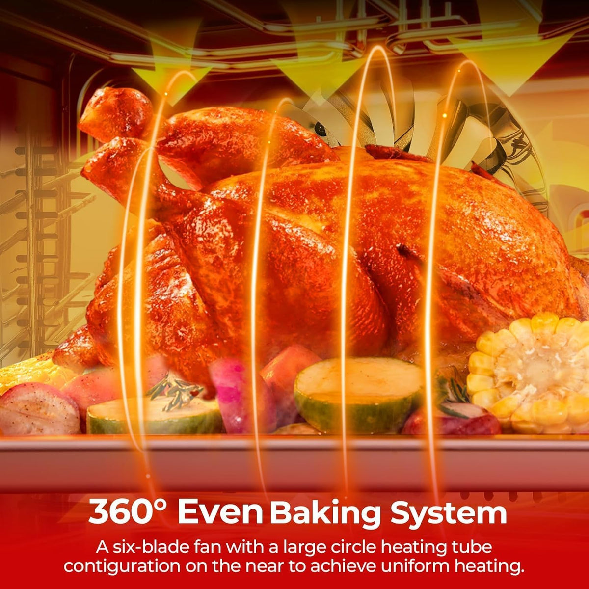 Commercial Convection Oven