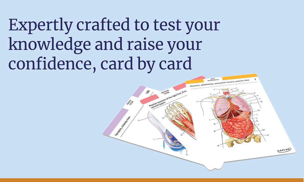 Anatomy Flashcards: 300 Flashcards with Anatomically Precise Drawings and Exhaustive Descriptions
