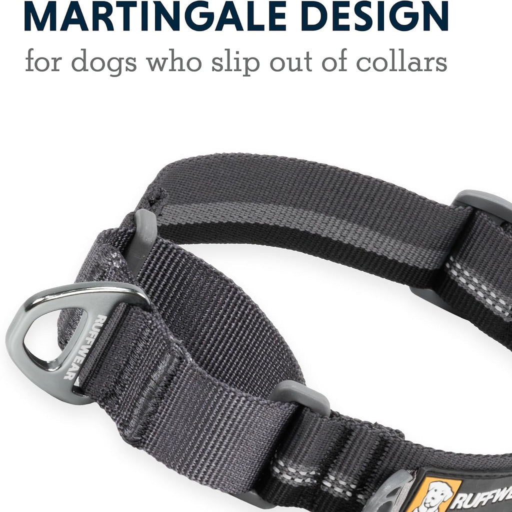 Web Reaction Martingale Dog Collar, River Rock Green, 14"-17"