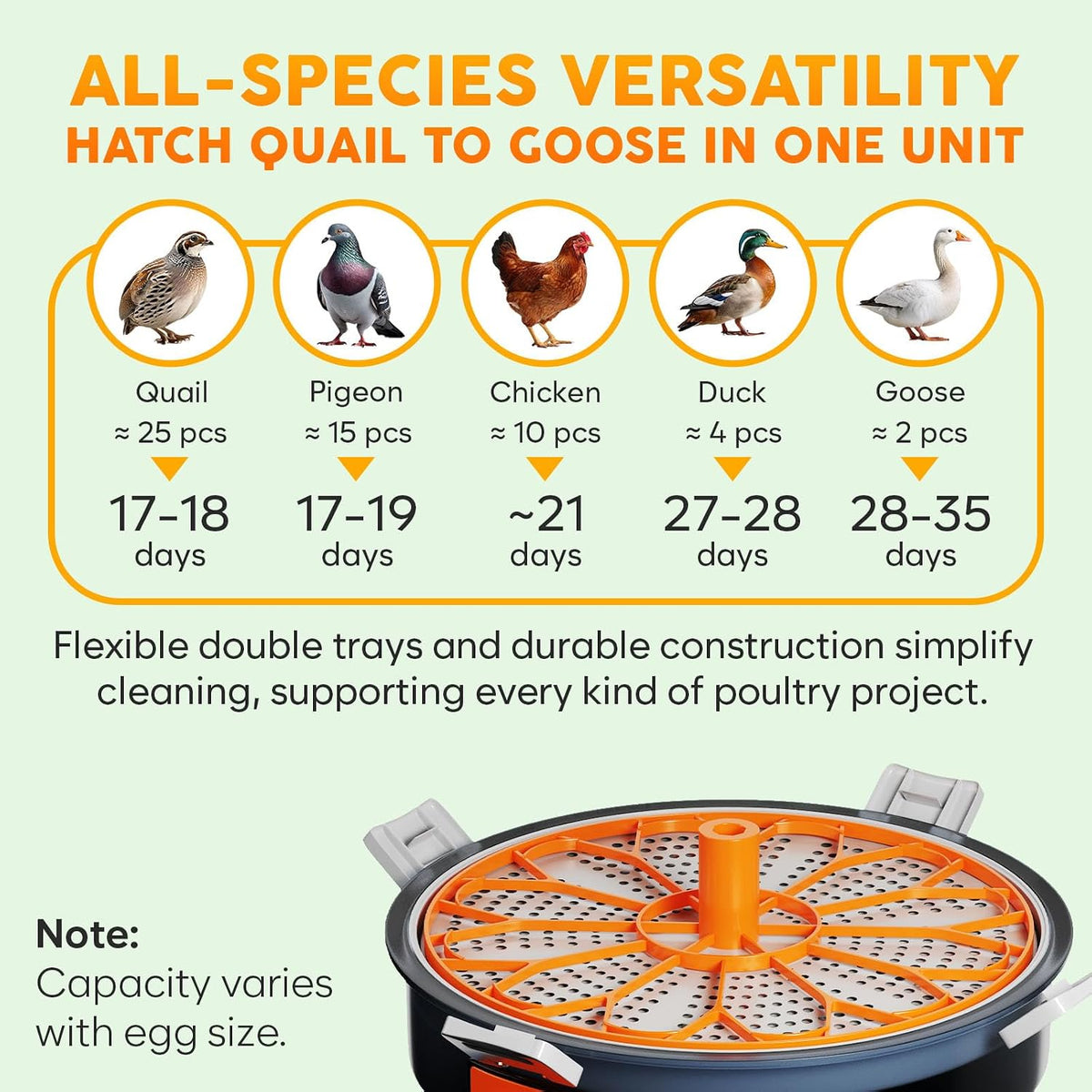 12 Capacity Egg Incubator with Automatic Turning and Candler
