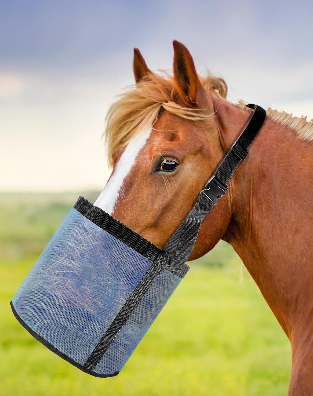 2 Pack Horse Feed Bag for Grain - Durable Mesh Grain Feeder with Adjustable Strap, Comfortable Neck and Nose Pad