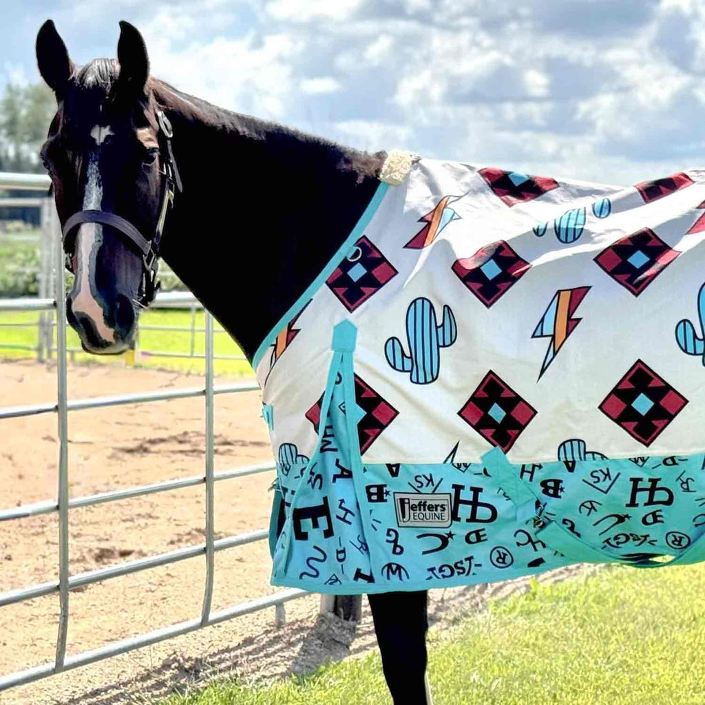 Economy Plus Turnout Blanket with Standard Neck for Horses, 72" - 1200 Denier Waterproof Shell, 240g Polyfill