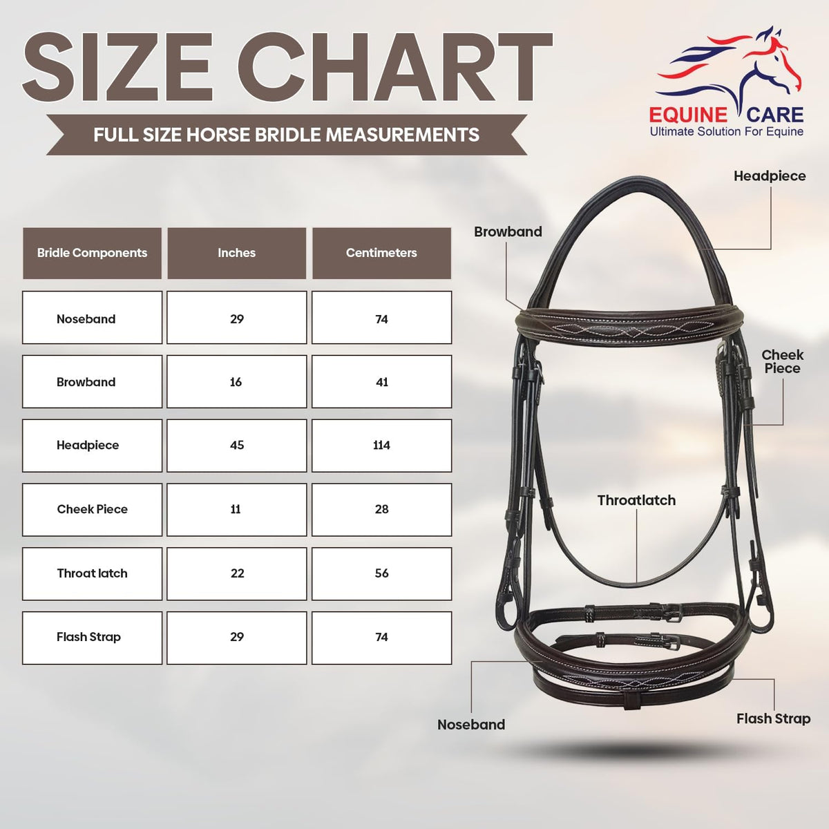 English Horse Bridle with Reins, Padded, 6 Browband Styles