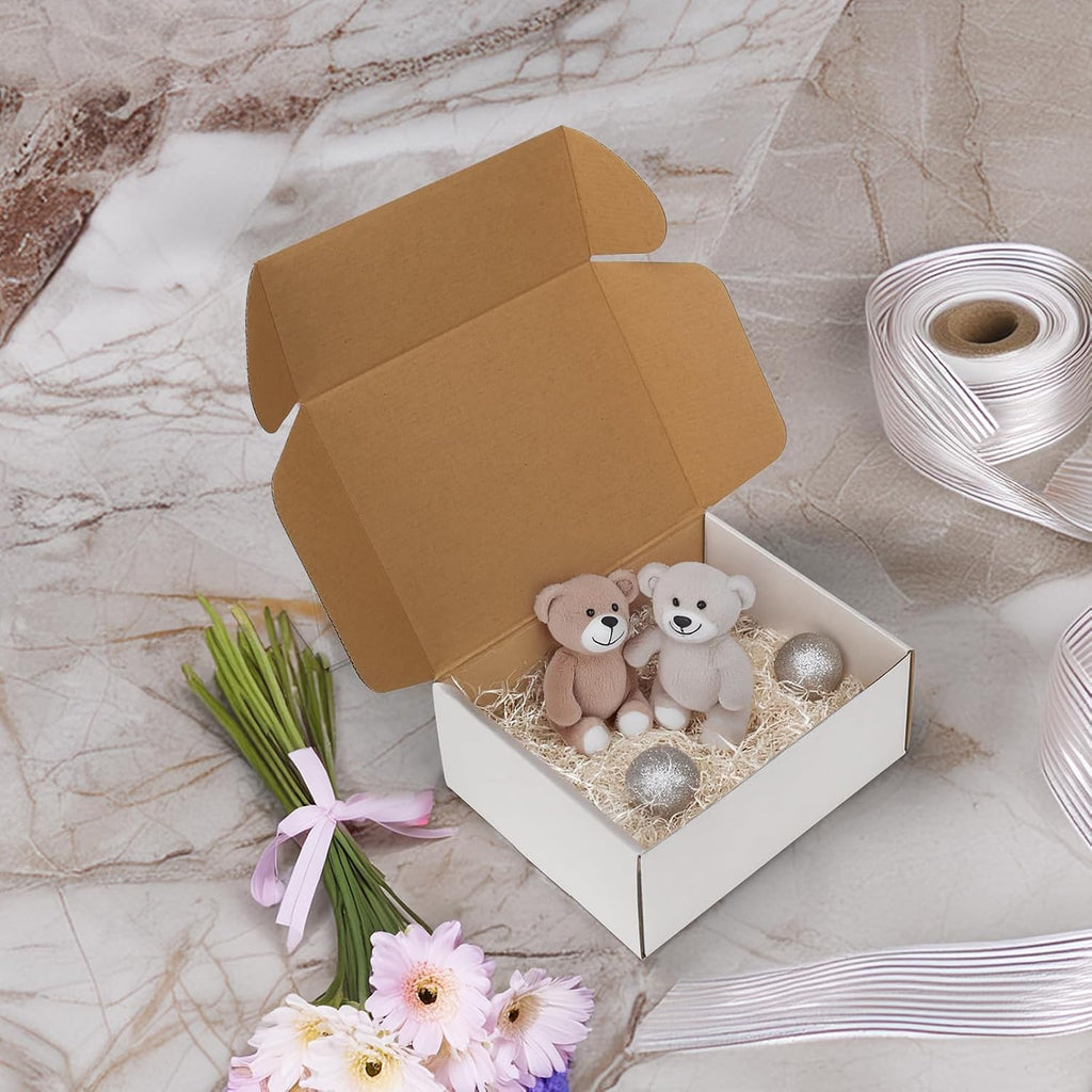 10x8x4 inches Shipping Boxes Set of 20, White Corrugated Cardboard Box Literature Mailer