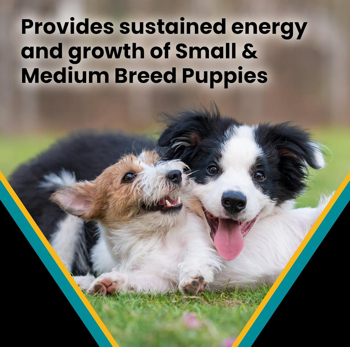 Hi-Pro Plus Dry Dog Food - Small & Medium Breed Puppy Kibble, 5lb