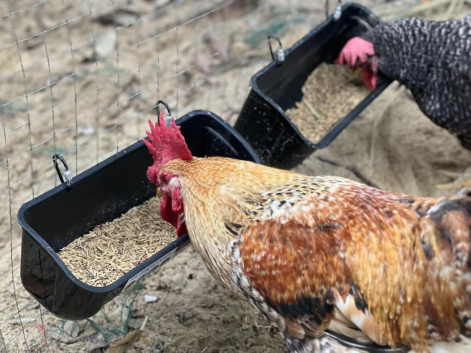 Hanging Chicken Feeder Duck Waterer, 2.6 Quart Medium Capacity, No Spill Poultry Feeder Waterer for Backyard Chicken