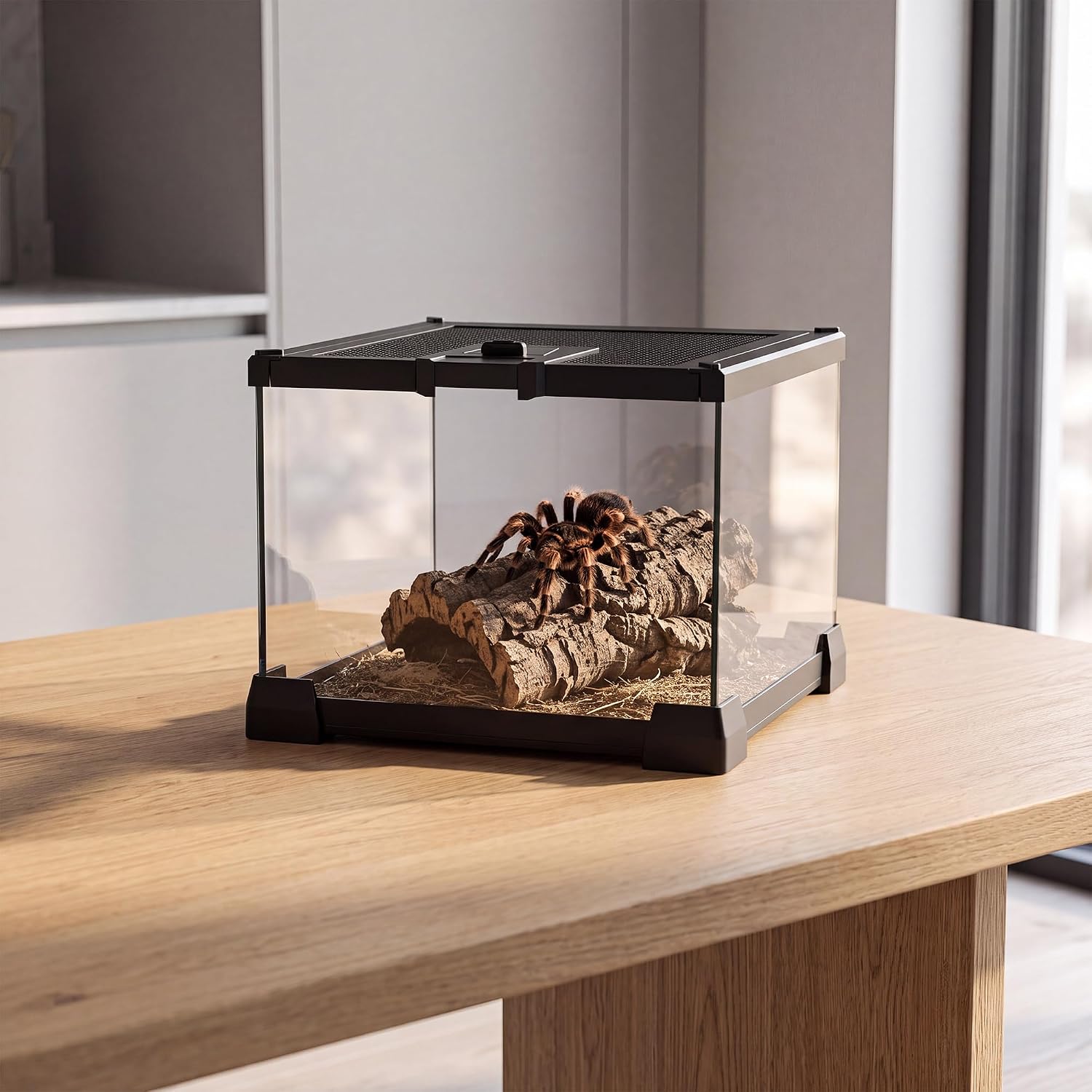 Mini Glass Reptile Enclosure Terrarium 8"x8"x6" | Top-Opening Mesh Lid with Feeding Hole, Fully Assembled Tank for