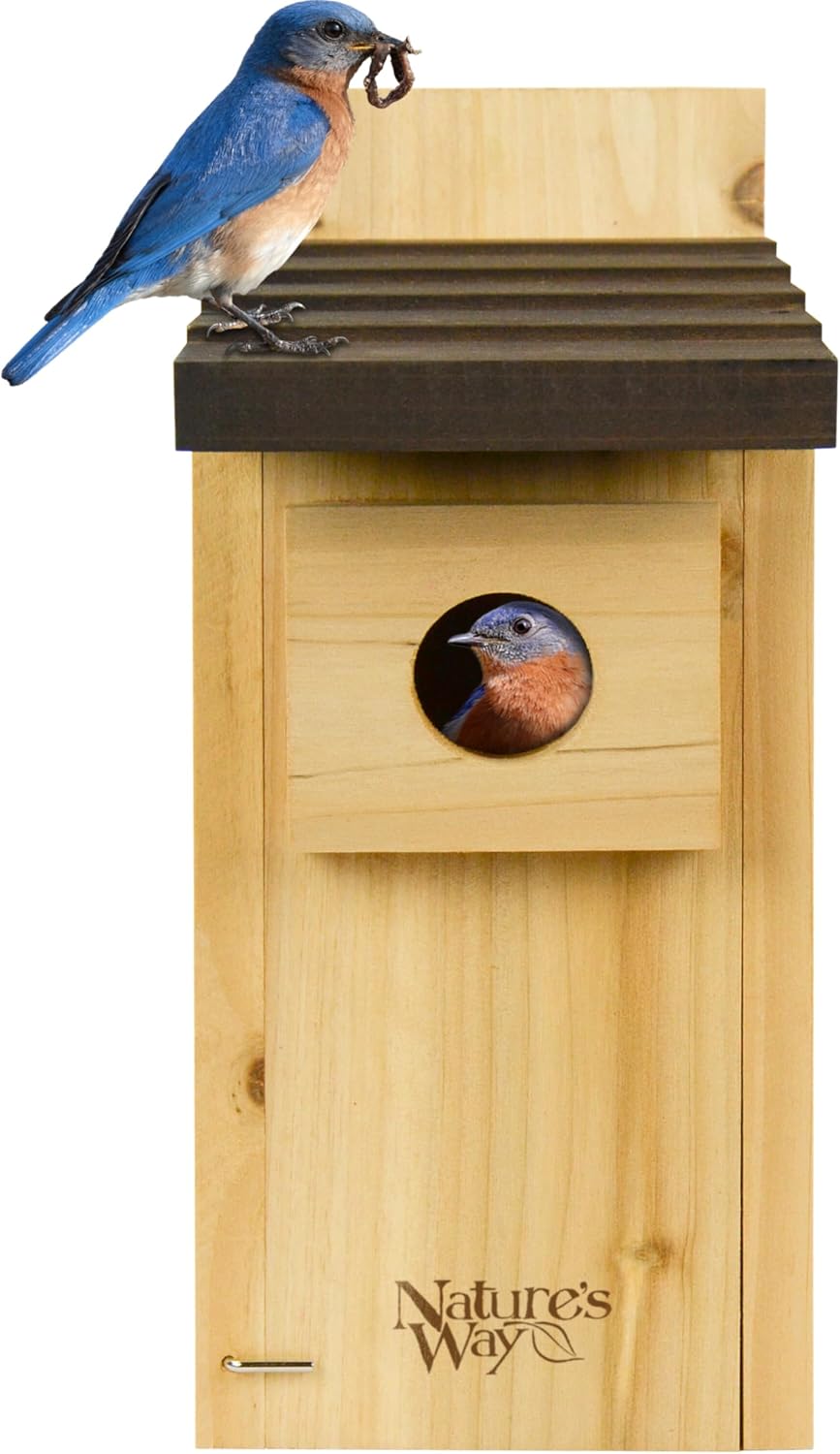 Nature’s Way Cedar Bluebird House for Outdoor Nesting, Predator Guard, Ventilated Design & Easy Access Clean-Out