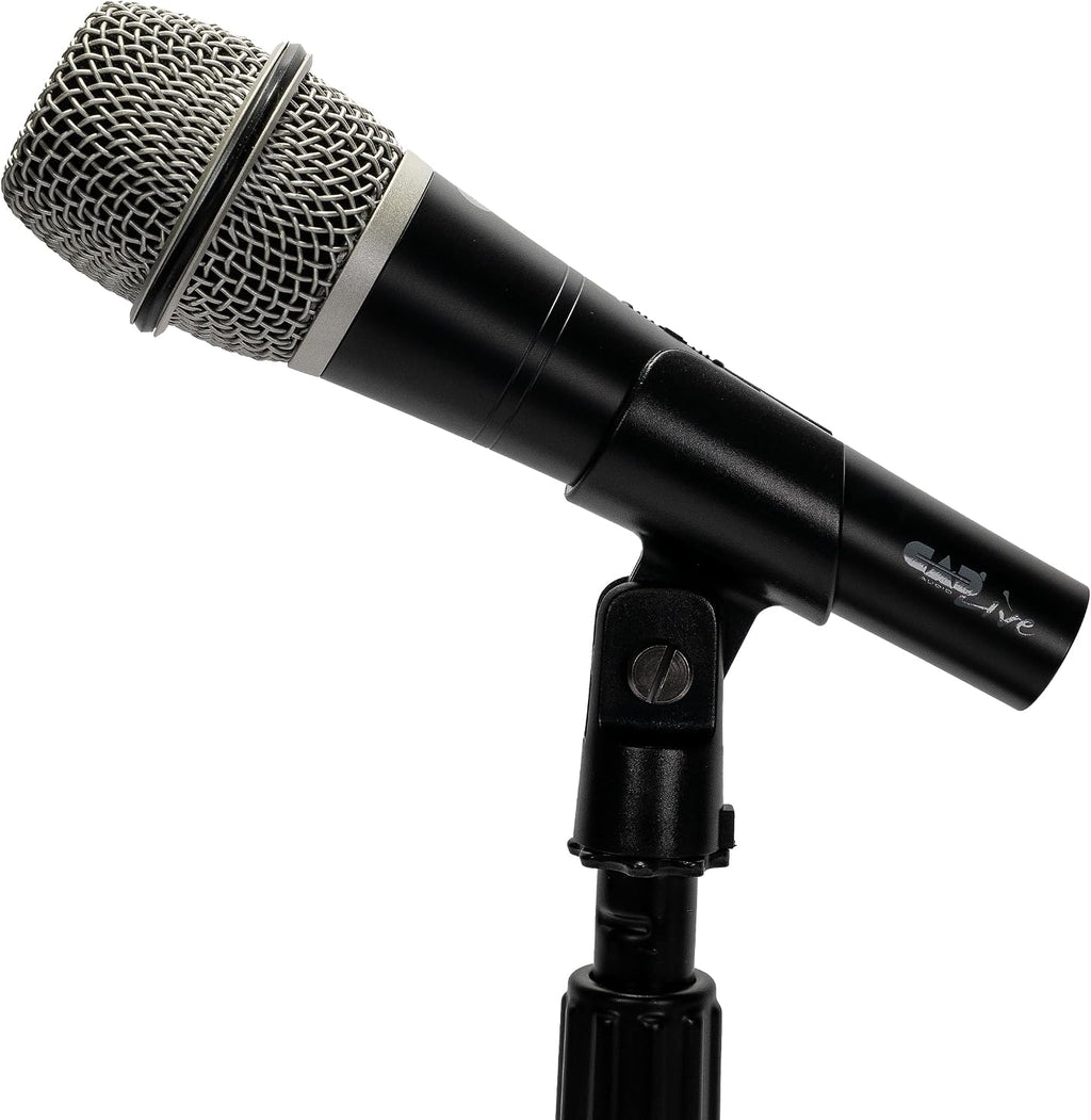 D27 Supercardioid Handheld Dynamic Microphone – QuietTouch On/Off Switch, Neodymium Capsule, Metal Construction