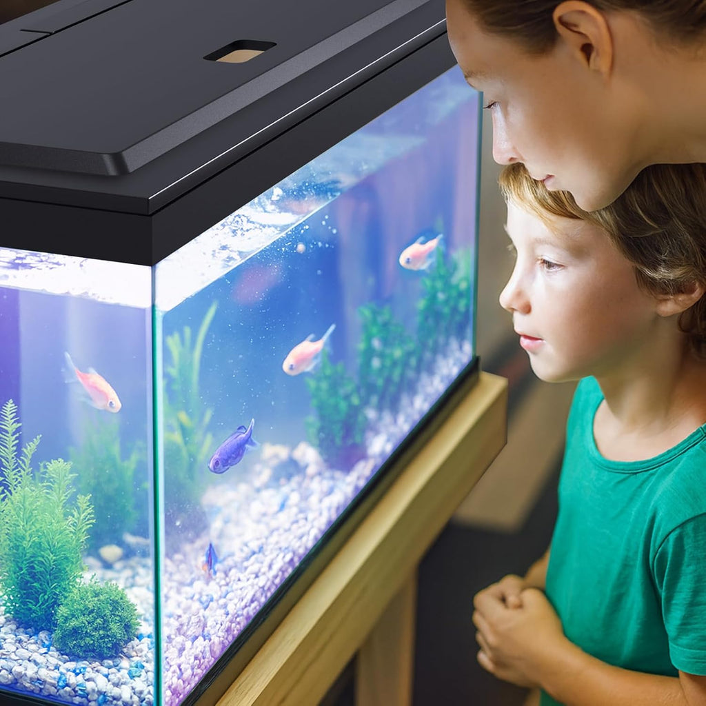 LED Aquarium Hood, Colored Lights, Fits 24" Framed Aquariums, Black | Adjustable-Brightness Colored Light Tubes