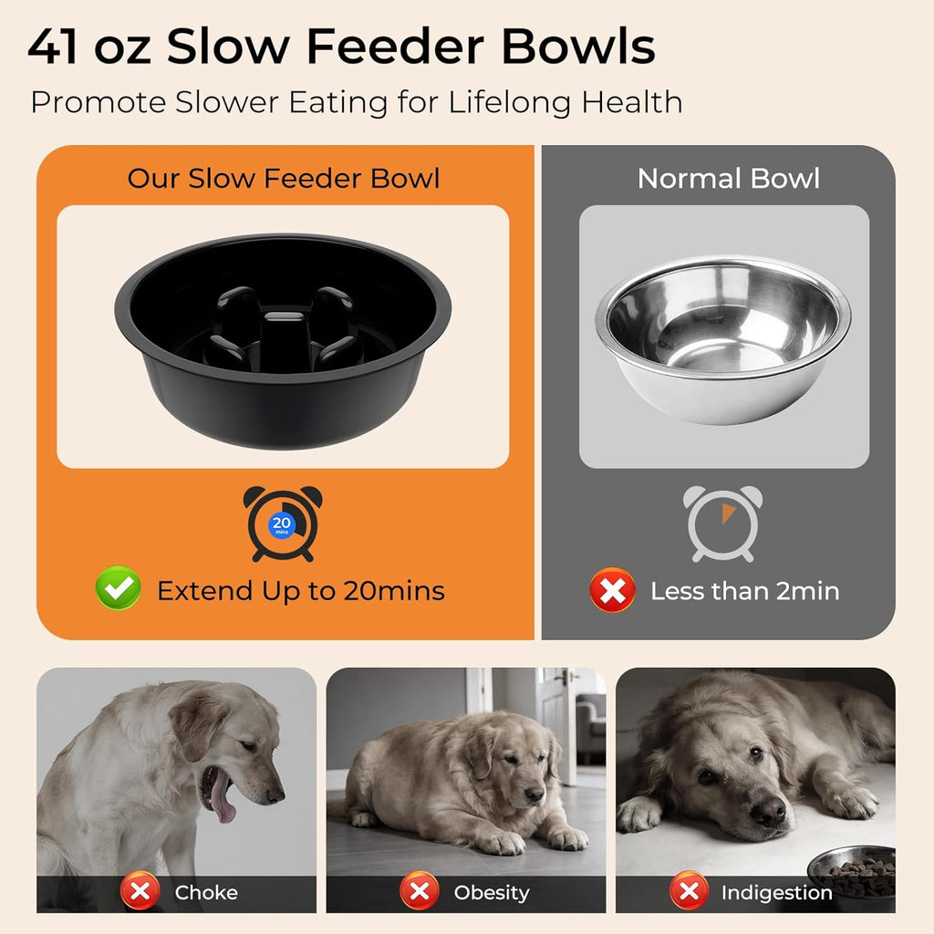 Mess Proof Elevated Dog Bowls 4 Height Adjustable Raised Stand with No Spill Water Bowl and Slow Feeder Dog Bowls