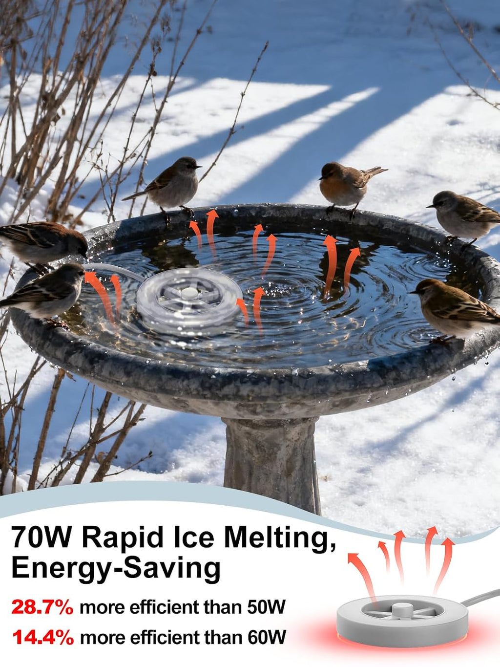70W Bird Bath Heater for Outdoors in Winter