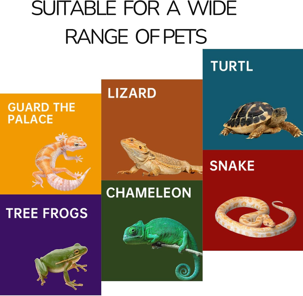Reptile Hide for Leopard Gecko,Bearded Dragon,Ball Python & Tortoise – Terrarium Habitat Décor, Snake & Lizard