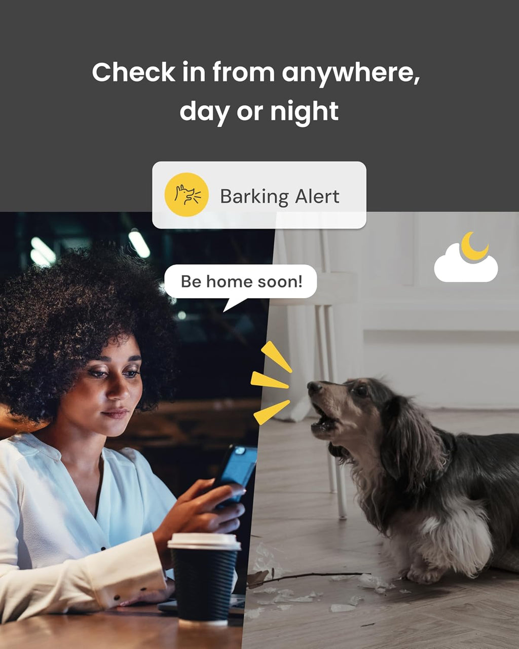 360° Dog Camera [Core Features, No Ongoing Cost]