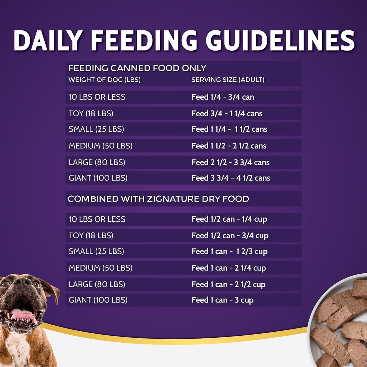 Salmon Limited Ingredient Formula Wet Dog Food 13oz, case of 12