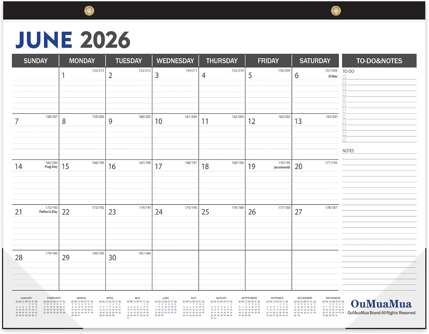Large Desk Calendar 2026-2027 - 19 Months from Jun. 2026 through Dec. 2027, 22 x 17 Inches Desktop Wall Calendar with