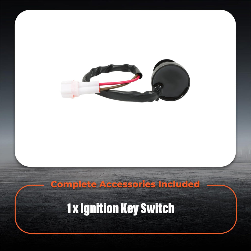 labwork Ignition Key Switch Replacement for Yamaha Raptor250 660R 350 700