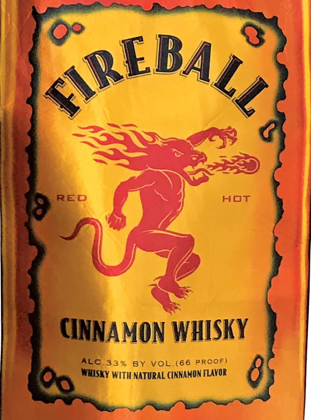 Fireball Bottle Halloween Costume, Men and Women, Unisex Adults,Adult One Size