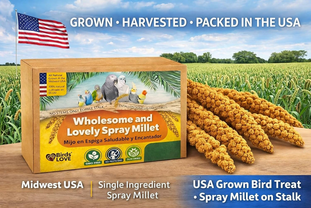 1 LB Wholesome Spray Millet for Birds – USA Grown, Non-GMO,Natural Sun-Dried Millet Sprays – Thick Seed-Rich Clusters