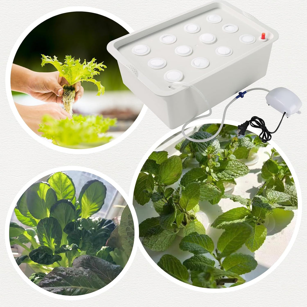 Hydroponic System Growing Kit with Air Pump 12 Holes Soilless | Cultivation Grow Box Garden Cabinet Box for Herbs