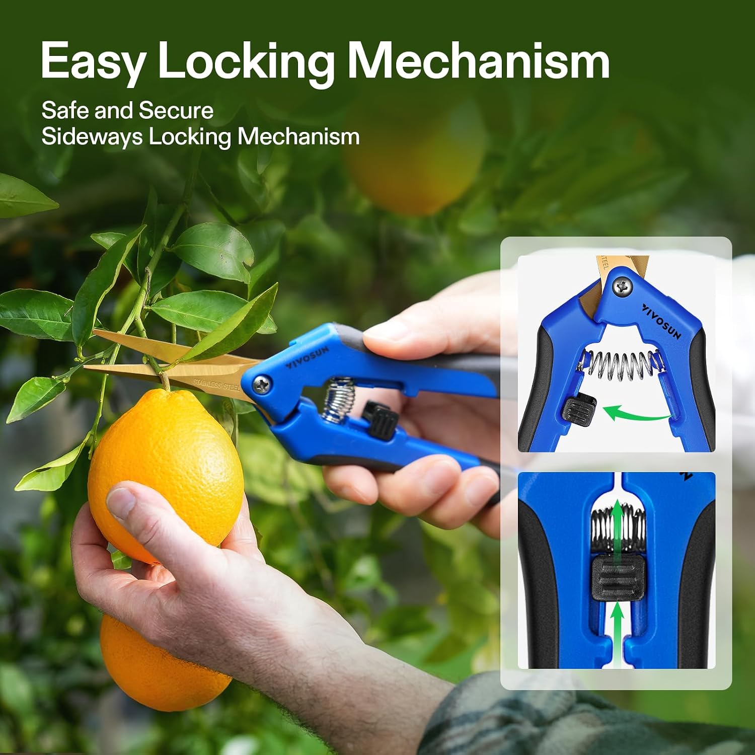 Curved Gardening Scissors 6.5 Inch Hand Pruner Shear and Gardening Scissors 6.5 Inch Hand Pruner Pruning Shear with