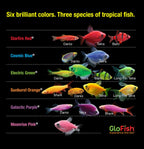 20 Gallon Complete Fish Tank Kit