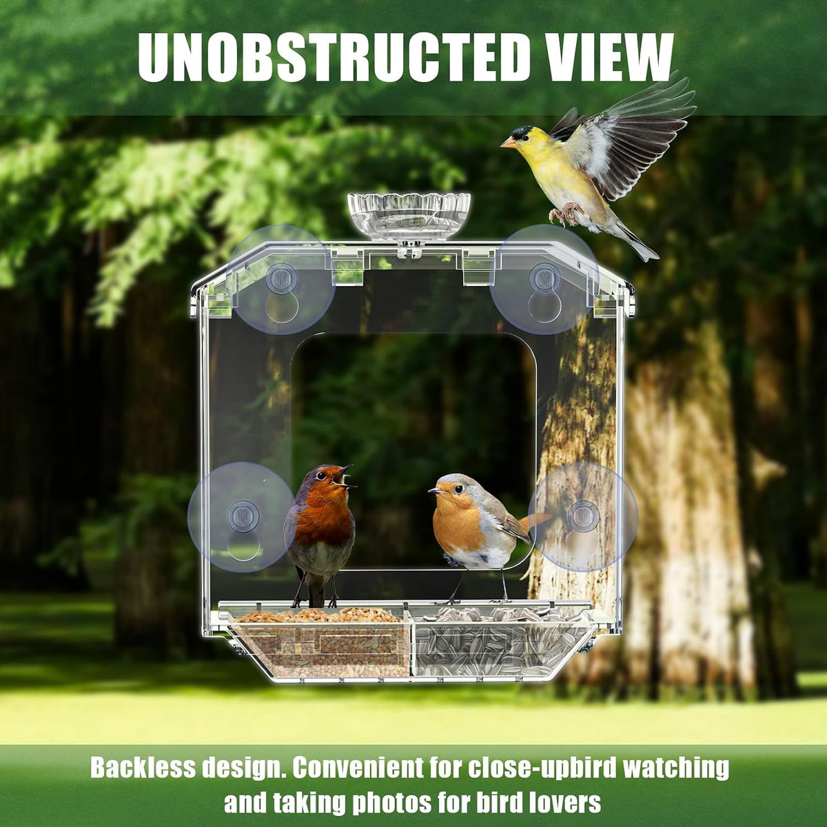 Clear Window Bird Feeder with Strong Suction Cups – Clear Bird Feeding Station with Dual Seed Tray & Water Bowl –