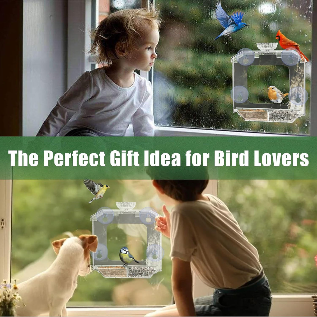 Clear Window Bird Feeder with Strong Suction Cups – Clear Bird Feeding Station with Dual Seed Tray & Water Bowl –
