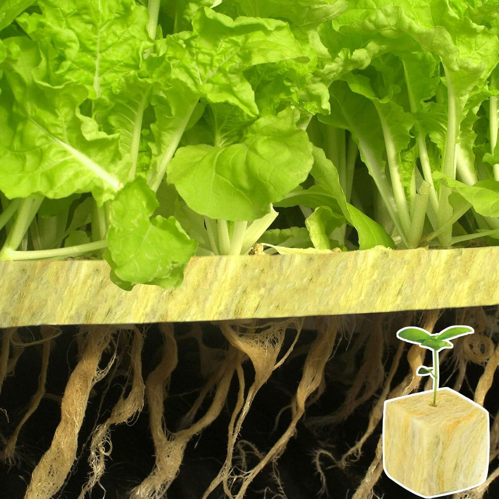 1.5 in Rockwool Cubes for Hydroponics, 196 Plugs Seed Starter Cube | High Germination Rate for Vegetables & Herbs